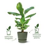 greenville round 40cm leaf green